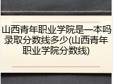 山西青年职业学院是一本吗录取分数线多少(山西青年职业学院分数线)
