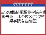 武汉铁路桥梁职业学院有哪些专业,几个校区(武汉桥梁学院专业校区)