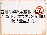 四川希望汽车职业学院毕业生就业大致去向如何(川职院毕业生去向)