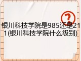 银川科技学院是985还是211(银川科技学院什么级别)