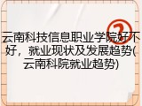 云南科技信息职业学院好不好，就业现状及发展趋势(云南科院就业趋势)