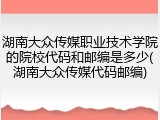 湖南大众传媒职业技术学院的院校代码和邮编是多少(湖南大众传媒代码邮编)