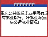 重庆公共运输职业学院有没有就业指导，好就业吗(重庆公运就业情况)