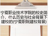宁夏职业技术学院的校史简介，什么历史与社会背景下建校的(宁夏职院建校背景)
