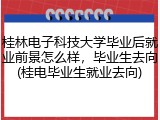 桂林电子科技大学毕业后就业前景怎么样，毕业生去向(桂电毕业生就业去向)