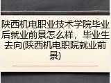 陕西机电职业技术学院毕业后就业前景怎么样，毕业生去向(陕西机电职院就业前景)
