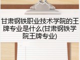 甘肃钢铁职业技术学院的王牌专业是什么(甘肃钢铁学院王牌专业)