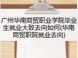 广州华南商贸职业学院毕业生就业大致去向如何(华南商贸职院就业去向)
