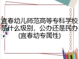 宜春幼儿师范高等专科学校是什么级别，公办还是民办(宜春幼专属性)