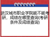 武汉城市职业学院能不能考研，成绩在哪里查询(考研条件及成绩查询)