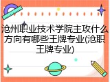 沧州职业技术学院主攻什么方向有哪些王牌专业(沧职王牌专业)