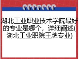 湖北工业职业技术学院最好的专业是哪个,详细阐述(湖北工业职院王牌专业)