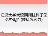 江汉大学就读期间挂科了怎么办呢？(挂科怎么办)