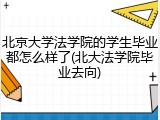 北京大学法学院的学生毕业都怎么样了(北大法学院毕业去向)