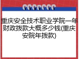 重庆安全技术职业学院一年财政拨款大概多少钱(重庆安院年拨款)