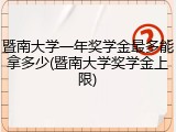 暨南大学一年奖学金最多能拿多少(暨南大学奖学金上限)