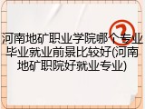 河南地矿职业学院哪个专业毕业就业前景比较好(河南地矿职院好就业专业)