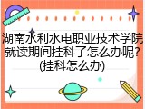 湖南水利水电职业技术学院就读期间挂科了怎么办呢？(挂科怎么办)