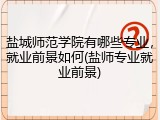 盐城师范学院有哪些专业，就业前景如何(盐师专业就业前景)