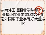 湖南外国语职业学院哪个专业毕业就业前景比较好(湖南外国语职业学院好就业专业)