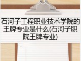 石河子工程职业技术学院的王牌专业是什么(石河子职院王牌专业)