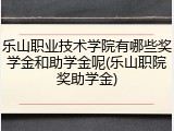 乐山职业技术学院有哪些奖学金和助学金呢(乐山职院奖助学金)