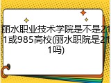 丽水职业技术学院是不是211或985高校(丽水职院是211吗)