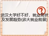 武汉大学好不好，就业现状及发展趋势(武大就业前景)