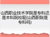 山西职业技术学院是专科还是本科院校呢(山西职院是专科吗)
