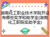 湖南化工职业技术学院开设有哪些奖学和助学金(湖南化工职院奖助学金)