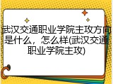 武汉交通职业学院主攻方向是什么，怎么样(武汉交通职业学院主攻)