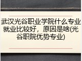武汉光谷职业学院什么专业就业比较好，原因是啥(光谷职院优势专业)