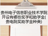 贵州电子信息职业技术学院开设有哪些奖学和助学金(贵电院奖助学金种类)