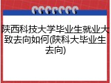 陕西科技大学毕业生就业大致去向如何(陕科大毕业生去向)