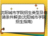 沈阳城市学院招生类型及申请条件解读(沈阳城市学院招生指南)