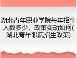 湖北青年职业学院每年招生人数多少，政策变动如何(湖北青年职院招生政策)