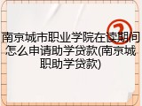 南京城市职业学院在读期间怎么申请助学贷款(南京城职助学贷款)