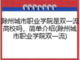 滁州城市职业学院是双一流高校吗，简单介绍(滁州城市职业学院双一流)