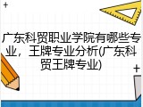 广东科贸职业学院有哪些专业，王牌专业分析(广东科贸王牌专业)