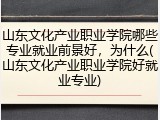 山东文化产业职业学院哪些专业就业前景好，为什么(山东文化产业职业学院好就业专业)