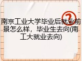 南京工业大学毕业后就业前景怎么样，毕业生去向(南工大就业去向)