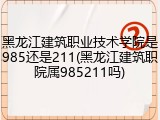 黑龙江建筑职业技术学院是985还是211(黑龙江建筑职院属985211吗)
