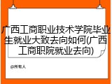 广西工商职业技术学院毕业生就业大致去向如何(广西工商职院就业去向)