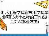 湖北工程学院新技术学院毕业可以找什么样的工作(湖工新院就业方向)