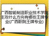 广西智能制造职业技术学院主攻什么方向有哪些王牌专业(广西职院王牌专业)