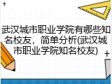 武汉城市职业学院有哪些知名校友，简单分析(武汉城市职业学院知名校友)