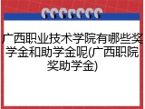广西职业技术学院有哪些奖学金和助学金呢(广西职院奖助学金)