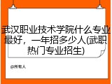 武汉职业技术学院什么专业最好，一年招多少人(武职热门专业招生)