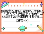 陕西青年职业学院的王牌专业是什么(陕西青年职院王牌专业)