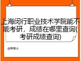 上海闵行职业技术学院能不能考研,成绩在哪里查询(考研成绩查询)
